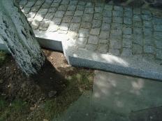 ������ ���������