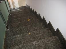 ������� ���������