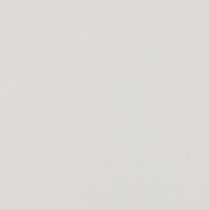 Absolute Light Grey 405