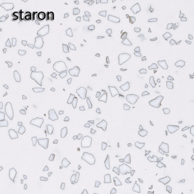 Mosaic Dalmatian QD212